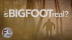 Is Bigfoot Real? Has Bigfoot DNA Been Discovered?