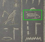 An Egyptian hieroglyph depicting what some people believe to be a plesiosaur inside the green square.