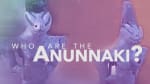 Who are the Anunnaki? Who are They Not?