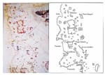 The Piri Reis map and a map by Columbus. The shape, contours, bodies of water, etc. closely match the Columbus map.